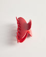 Claw Clip in Chilli