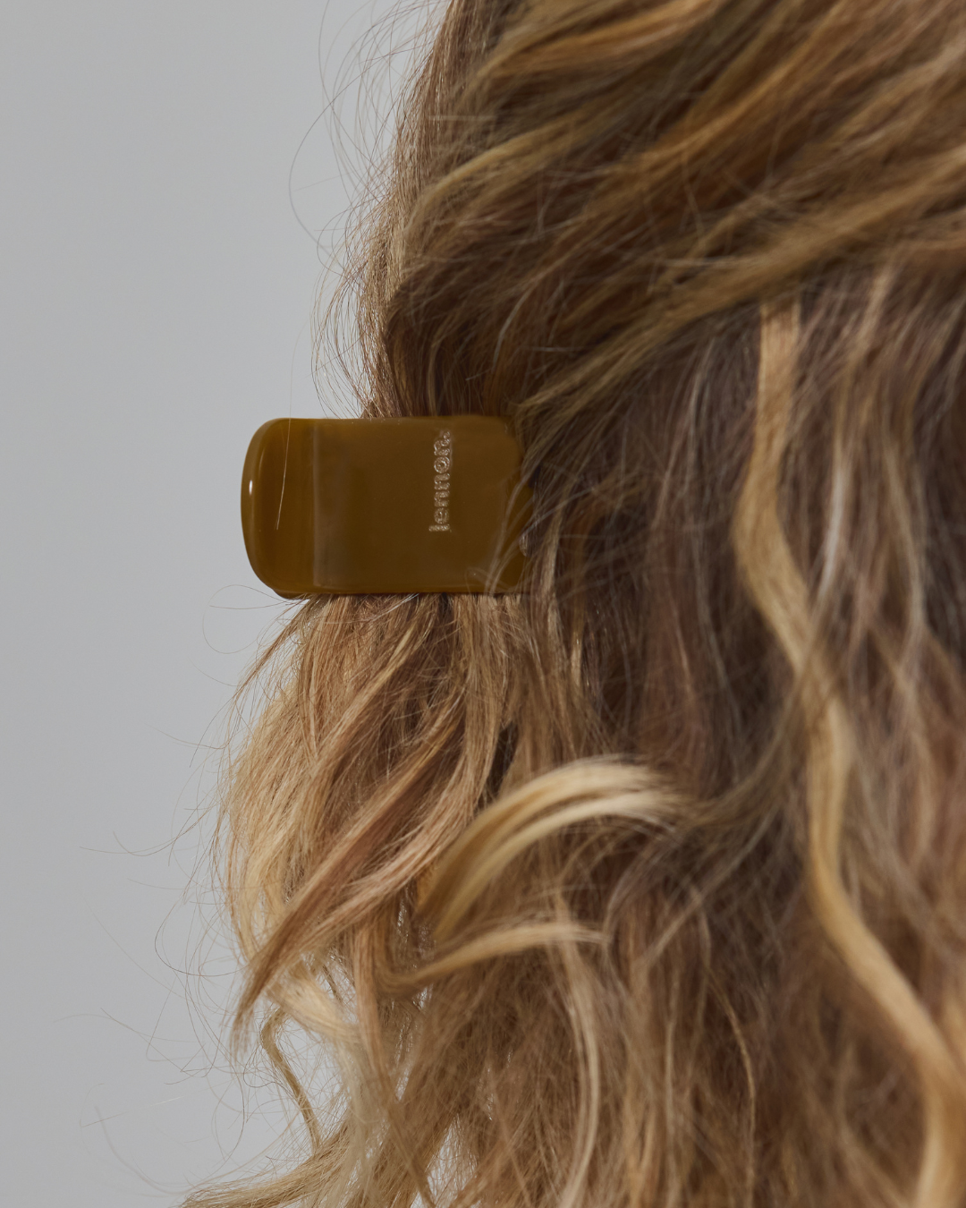 Mini Claw Clip